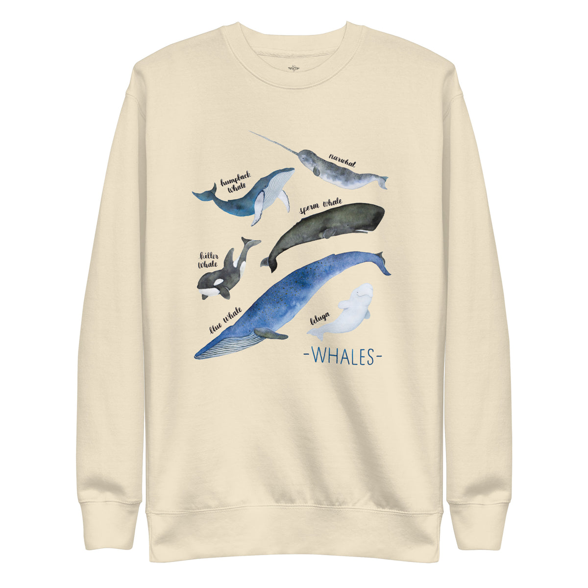 A cream-colored crewneck sweatshirt featuring a watercolor graphic of various whales and narwhals with handwritten labels, and the text '- WHALES -' printed below the illustration.