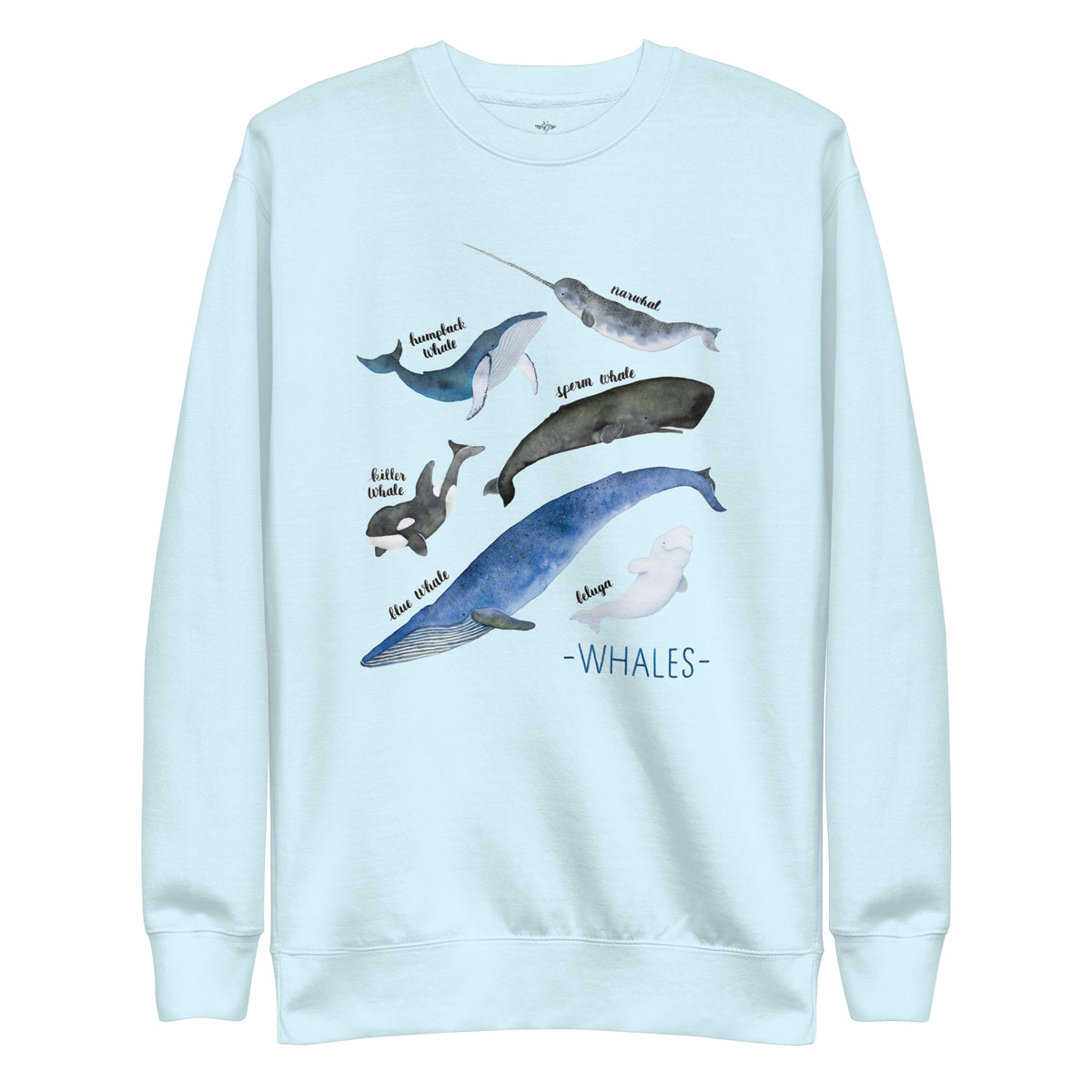A light blue crewneck sweatshirt featuring a watercolor graphic of various whales and narwhals with handwritten labels, on a solid white background.