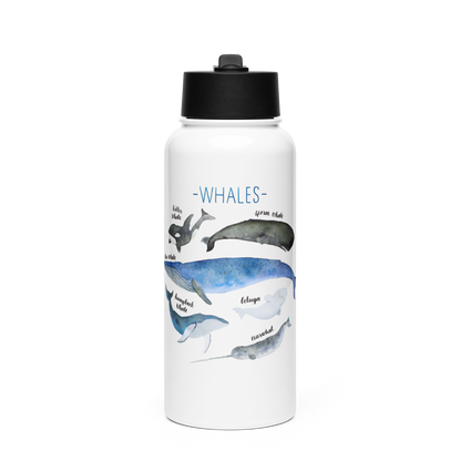 Stainless steel water bottle with a straw lid