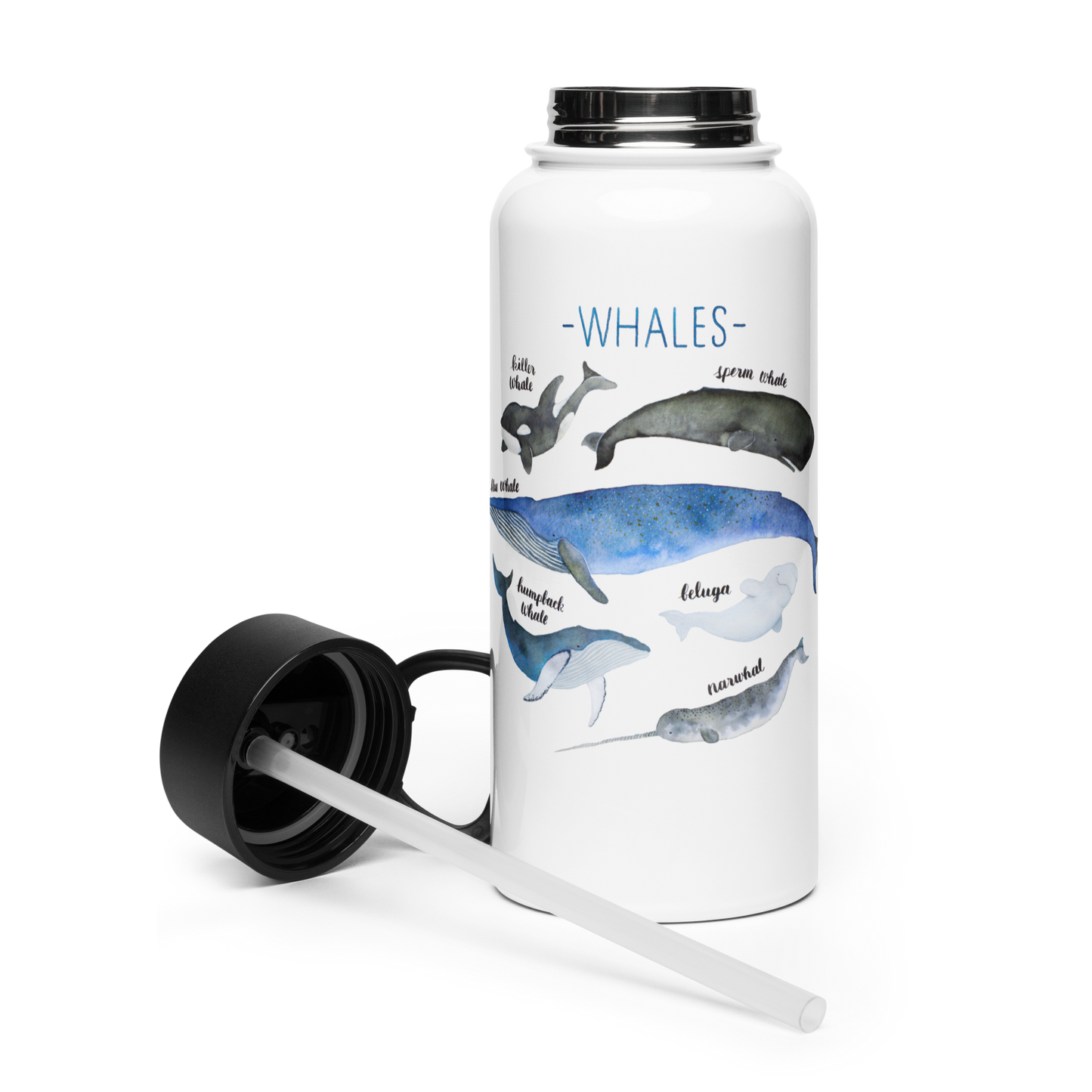 Stainless steel water bottle with a straw lid