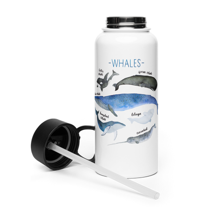 Stainless steel water bottle with a straw lid