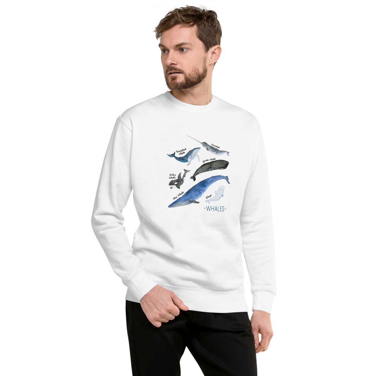 Whales of the World Premium Sweatshirt